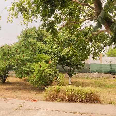 Colt De Rai Corbu (Constanta)