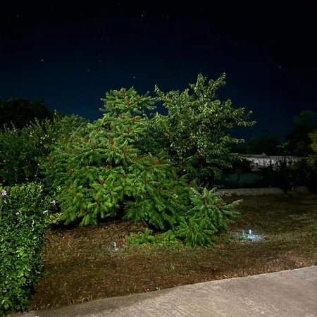 Colt De Rai Gæstehus