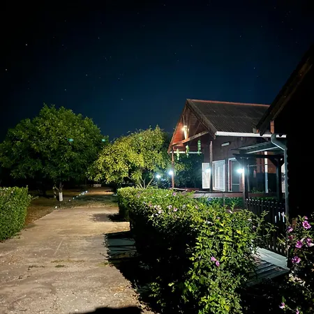 Colt De Rai Corbu (Constanta)