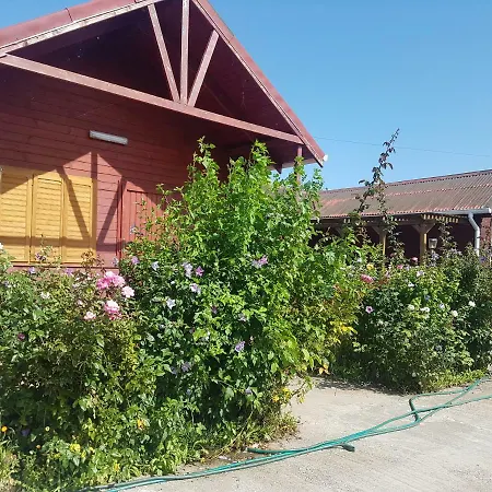 Colt De Rai Corbu (Constanta)