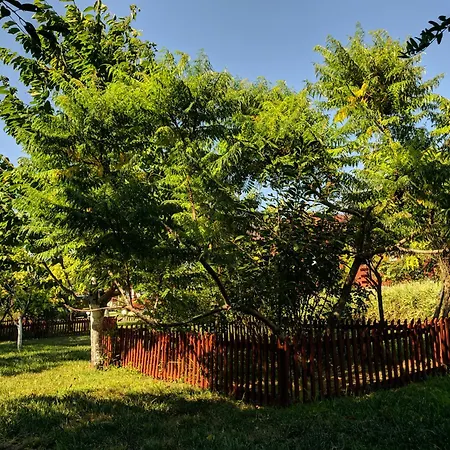 Colt De Rai Gæstehus 3*