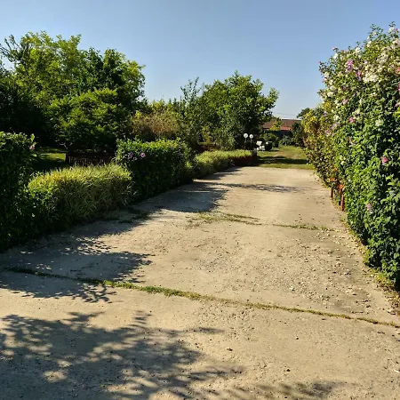 Gæstehus Colt De Rai