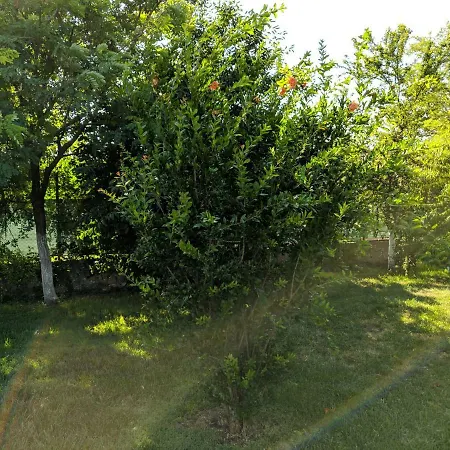 Colt De Rai 3* Corbu (Constanta)