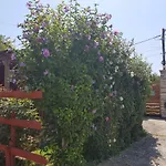 Colt De Rai 3* Corbu (Constanta)
