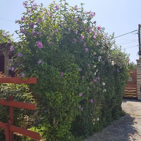 Colt De Rai 3* Corbu (Constanta)