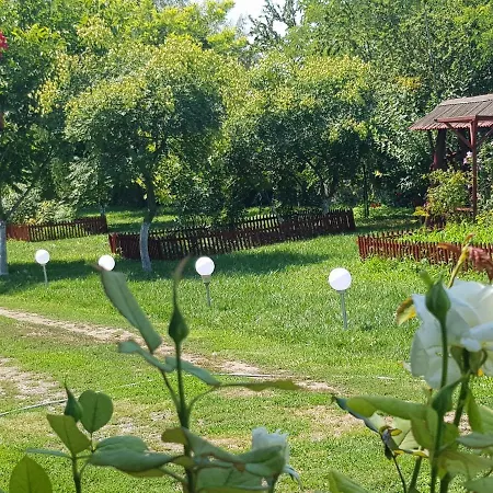 Guest house Colt De Rai